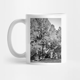 Oak Trees Mug